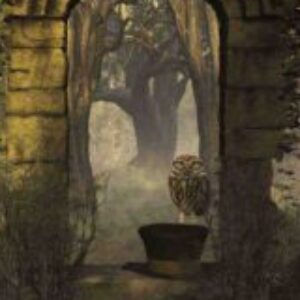 Profile photo of Gwen D