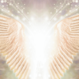 Profile photo of Linda Verdade di Ataraxia