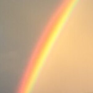 Profile photo of Megan Runk