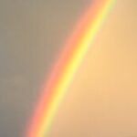 Profile photo of Megan Runk