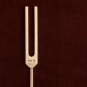 Profile photo of Lane Ma