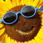 Profile photo of Lightworker.Love