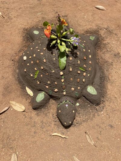 Temazcal_turtle