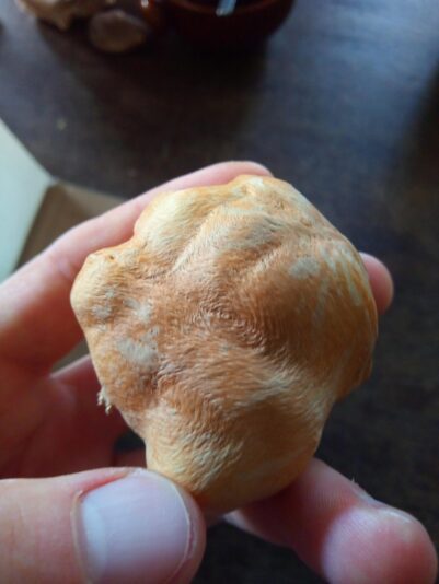 IMG_20250521_090607_134