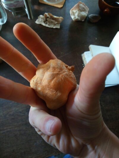 IMG_20250521_085310_214