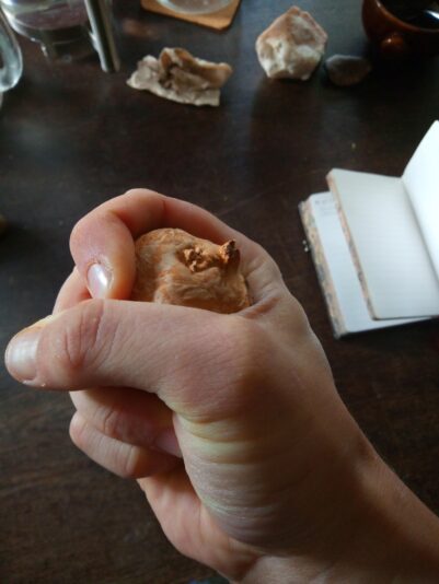 IMG_20250521_085317_201